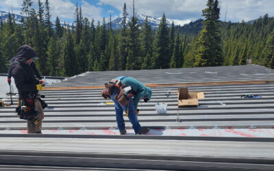 Residential Roof Failure: What Causes a Roof to Fail Early?